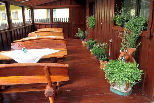 a row of benches in a room with potted plants at Penzion Sabina in Vernár