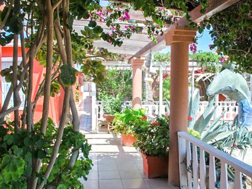 a patio with a bunch of plants and flowers at Hotel Malarrimo in Guerrero Negro