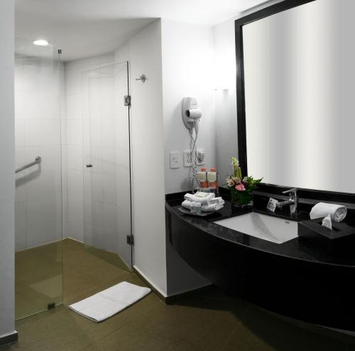 A bathroom at Holiday Inn Express Toluca Galerias Metepec, an IHG Hotel