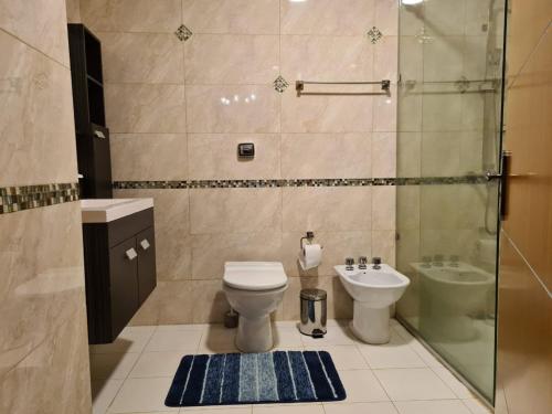 ein Bad mit einem WC, einem Waschbecken und einer Dusche in der Unterkunft Costanera Encarnación - Apartamento Entero in Encarnación