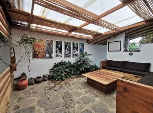 a living room with a couch and some plants at Hostel Once Once in Villa de Leyva