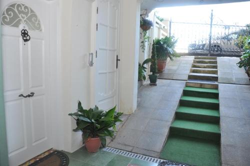 a hallway with a green floor with plants at Private Apartment in Pembroke St Julians in Pembroke 