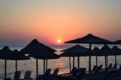 Φυσικό τοπίο κοντά σε αυτό το διαμέρισμα