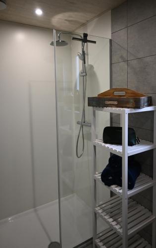 a shower in a bathroom with a glass shower stall at La maison du pêcheur Koksijde in Koksijde