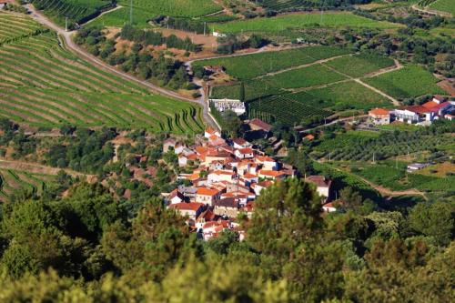 an aerial view of a village in a vineyard at BABhouse Casa da Mata - Coração do Douro in Nagoselo do Douro