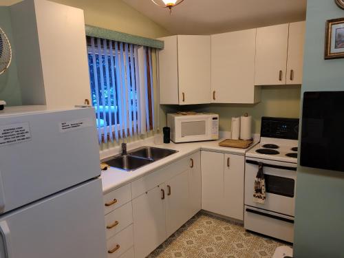 Bowering Lodge في الجبال الزرقاء: مطبخ صغير بأجهزة بيضاء ونافذة
