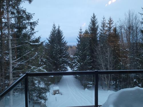 Bowering Lodge tokom zime