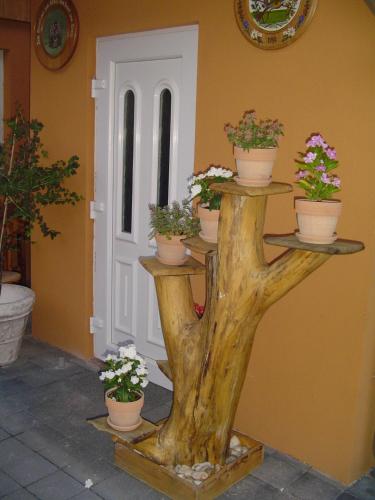 a plant stand with potted plants on it next to a door at Hunter in Štúrovo