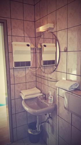 a bathroom with a sink and a mirror at Pension Zur Sonne Wittenweier in Schwanau