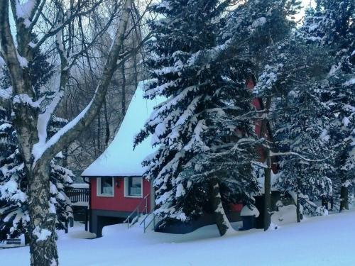 Mezihoří的住宿－Holiday home in Erzgebirge Mountains with terrace，树旁雪中的一个红色小屋
