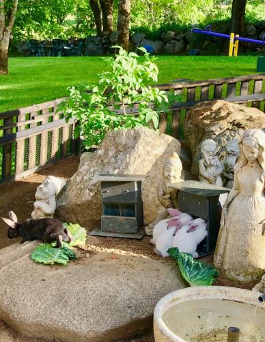 a dog laying in a garden with a fake fireplace at Hotel Petit Lacreu in Salardú