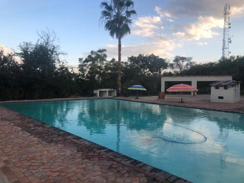 ネルスプロイトにあるVilla Jullienne - A Home Away From Home - Unit 5のヤシの木を背景にした大型スイミングプール