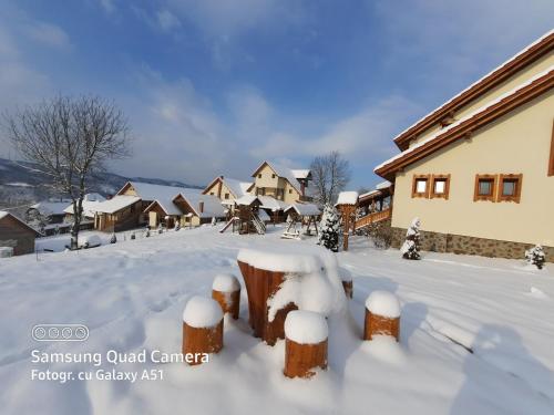 a yard covered in snow with houses in the background at Pensiunea Valea Branzei in Năneşti