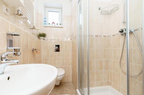 a bathroom with a shower and a toilet and a sink at Horský apartmán Temari 3 Klínovec in Loučná pod Klínovcem