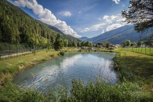 a river in a field with mountains in the background at Sarca Lodge Val Rendena in Dare