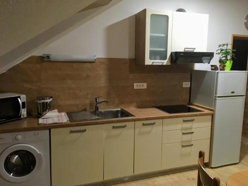 Η κουζίνα ή μικρή κουζίνα στο Apartments Pri Boštjanovcu