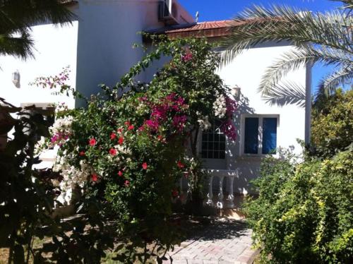 Gallery image of The Prince Inn Hotel & Villas in Kérynia