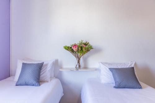 Gansbaai Boarding Lodge – Photos 3