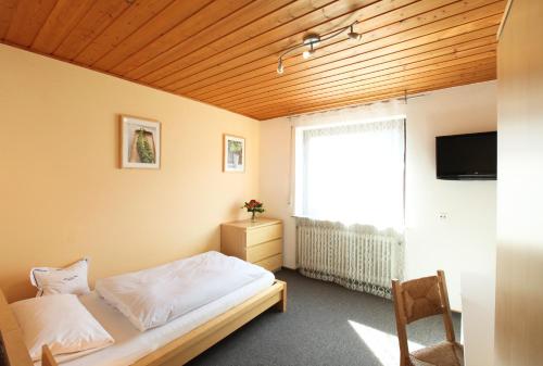 a bedroom with a bed and a tv and a window at Landhotel Schöll in Parsberg