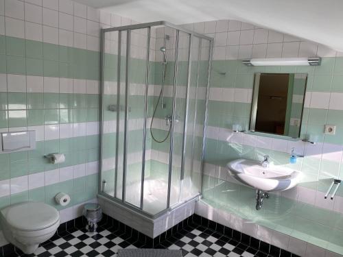 een badkamer met een douche, een toilet en een wastafel bij Gästehaus am Klinikum in Halle an der Saale