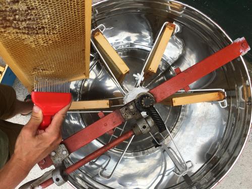 a person using a brush to clean a metal object at Agriturismo LaValleggia in Tovo San Giacomo