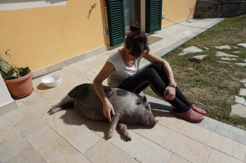 a woman sitting on top of a pig at Agriturismo LaValleggia in Tovo San Giacomo