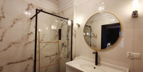 a bathroom with a shower and a sink and a mirror at DK Premium Warmińska Secesja in Olsztyn