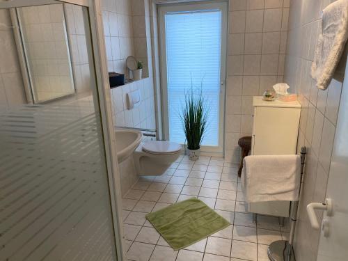 a bathroom with a toilet and a sink and a shower at Nordwind in Boltenhagen