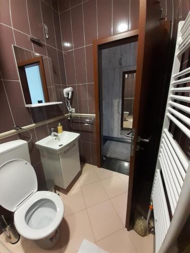 a bathroom with a toilet and a sink at Zlatibor Hills, Top 41 in Zlatibor