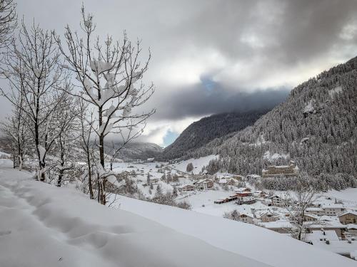 a small village in the snow with trees and buildings at Apart Mangweth in Nauders