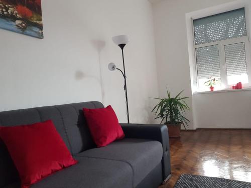 sala de estar con sofá gris y almohadas rojas en Casa Milan, en Oradea