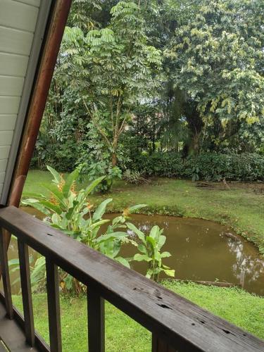 a view of a pond from a porch with a bench at Pousada e Restaurante Dona Siroba in Morretes