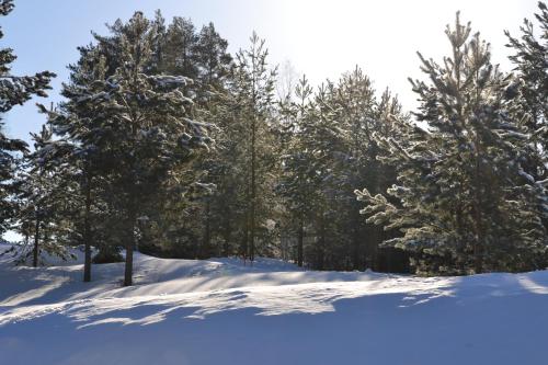 Gallery image of GERIKA 2 in Enonkoski