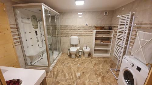 a bathroom with a shower and a toilet and a sink at Villa Maks in Komen