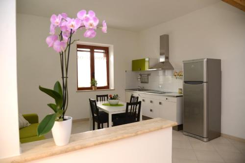 a kitchen with a table and a refrigerator at Jonico Guest House in Scanzano