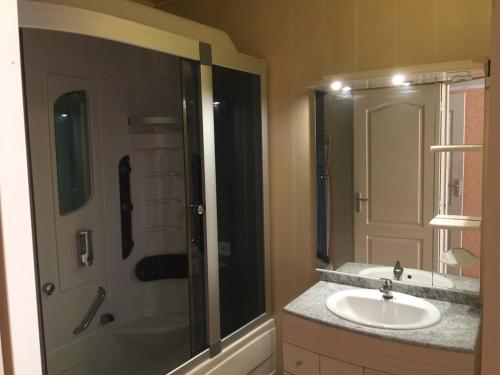 une salle de bain avec un lavabo et une douche dans l'établissement Albizia, à Saint-Julien-des-Landes