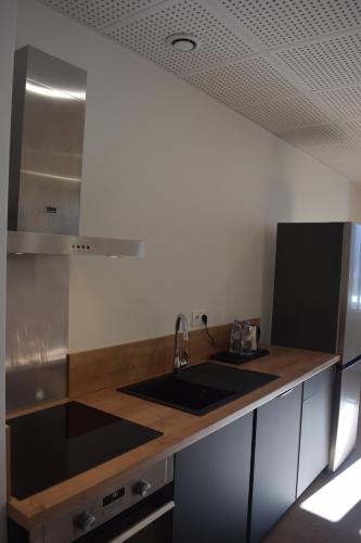 a kitchen with a sink and a counter top at Hôtel et appartements les platanes in Thueyts