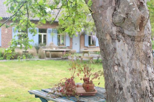 a picnic table with a potted plant on it next to a tree at Saffels Nest 33 in Lochristi