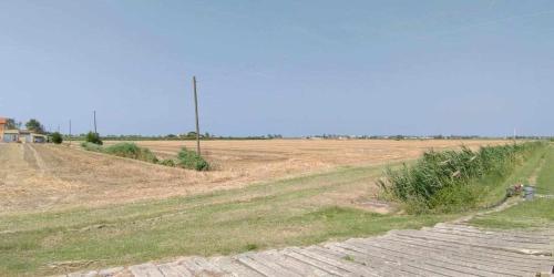 an empty field with a dirt road in the middle at Agriturismo La Fraterna in Tolle