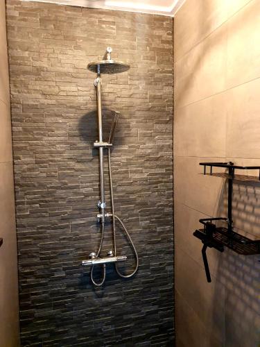 a shower in a bathroom with a brick wall at Vakantiehuisje 't Wiede in Blokzijl