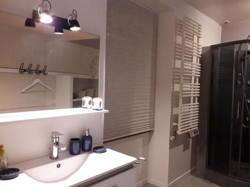 a bathroom with a sink and a shower with a mirror at Chambres d'hôtes dans la cité des trois vallées in Saint-Brieuc