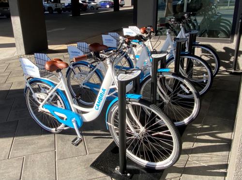 a group of bikes parked next to each other at Cambria Hotel St Petersburg-Madeira Beach Marina in St Pete Beach