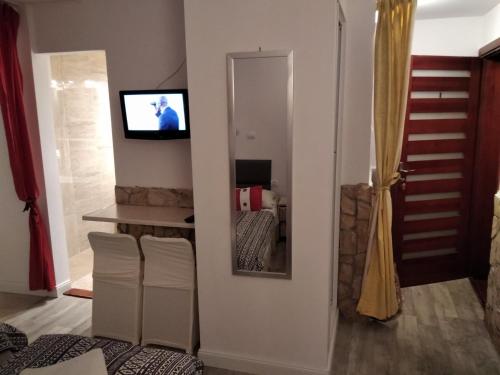 a room with a mirror and a tv on a wall at Zielone Wzgórze na Starówce in Sandomierz