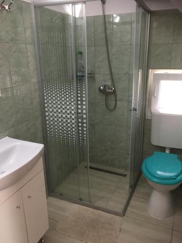 a bathroom with a shower with a toilet and a sink at Casa Popa’s in Cârțișoara