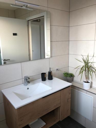 een badkamer met een witte wastafel en een spiegel bij Au pied des Vosges in Obernai