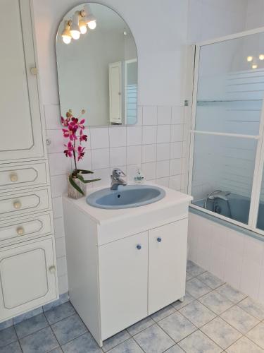 une salle de bain blanche avec un lavabo et un miroir dans l'établissement Maison indépendante, à Lailly-en-Val