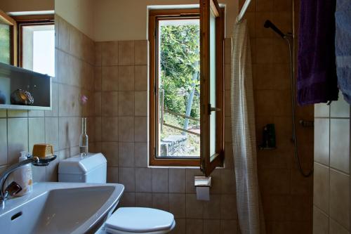 Un baño con inodoro, lavabo y ventana. en Wild Valley Secluded Apartment 3, en Loco