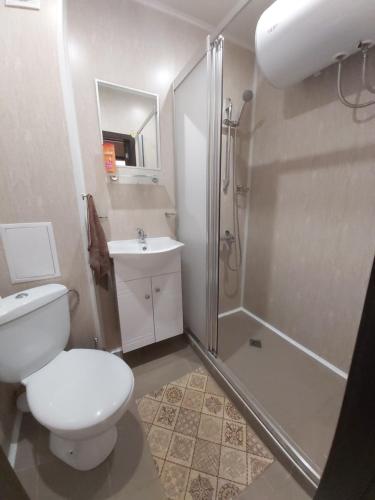La salle de bains est pourvue d'une douche, de toilettes et d'un lavabo. dans l'établissement Apartment Krasi, à Velingrad