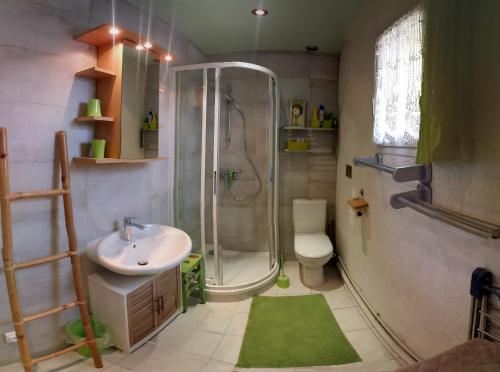 bagno con doccia, lavandino e servizi igienici di Les Nympheas, appart au calme et grand jardin à 15 min de Disneyland, a Crécy-la-Chapelle