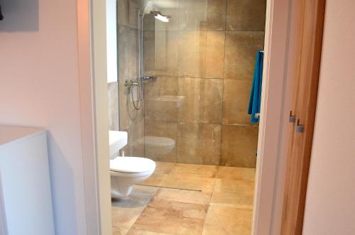 a bathroom with a toilet and a shower at Guesthouse Meitschi Thun - contactless self check-in in Thun